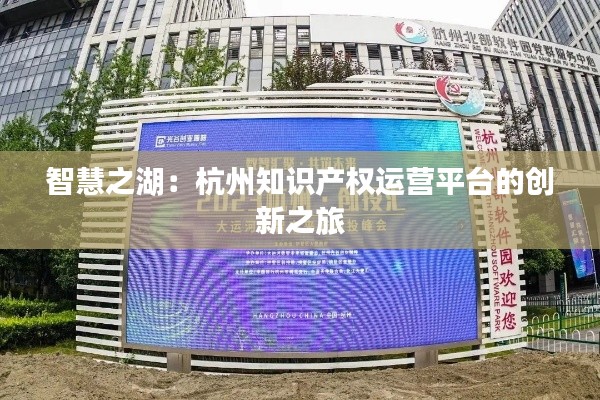 智慧之湖：杭州知识产权运营平台的创新之旅