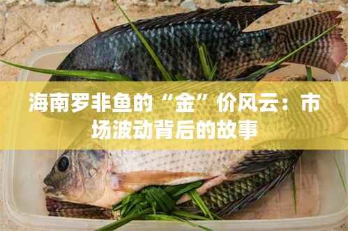 驾轻就熟 第6页