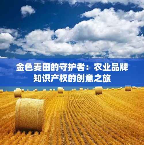 专利托管中心 第524页