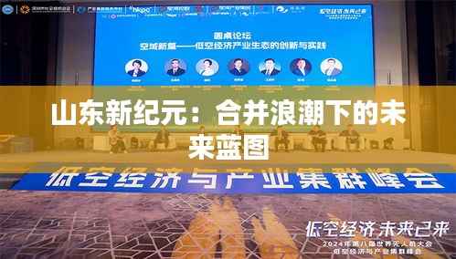 山东新纪元：合并浪潮下的未来蓝图