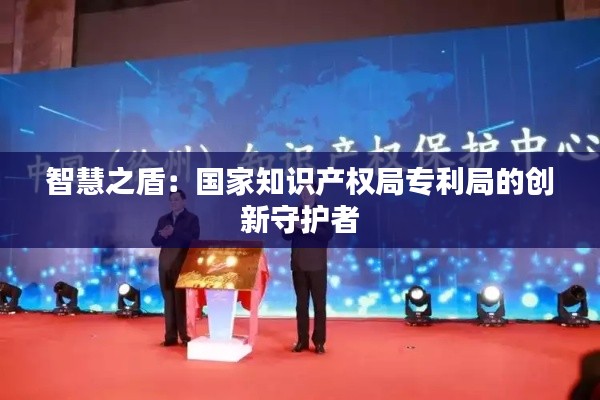 智慧之盾：国家知识产权局专利局的创新守护者