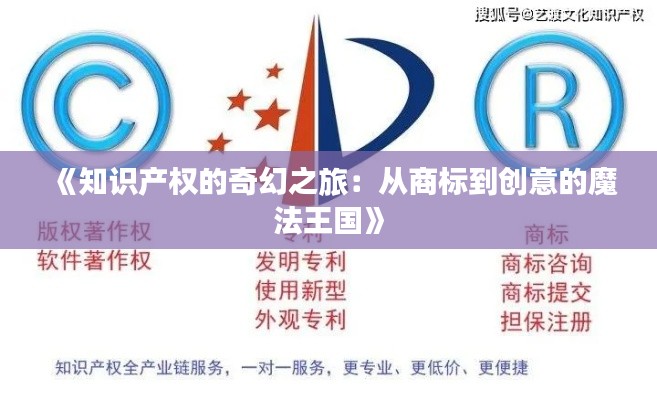 知识产权经营中心 第432页