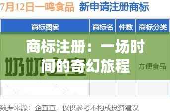 商标注册：一场时间的奇幻旅程