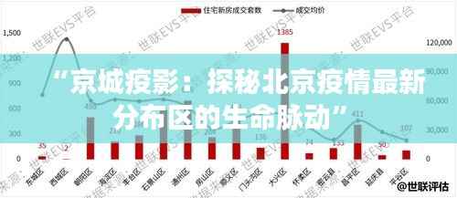 “京城疫影：探秘北京疫情最新分布区的生命脉动”