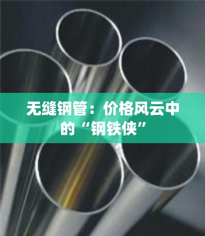 一丝不苟 第7页