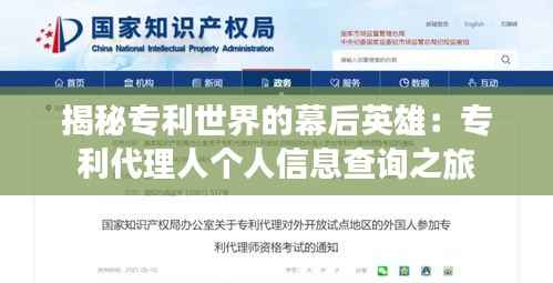 揭秘专利世界的幕后英雄：专利代理人个人信息查询之旅