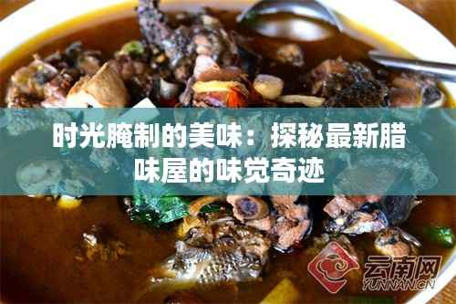 时光腌制的美味：探秘最新腊味屋的味觉奇迹