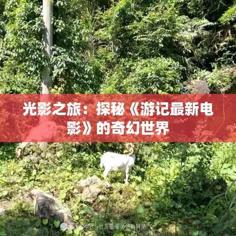 光影之旅：探秘《游记最新电影》的奇幻世界