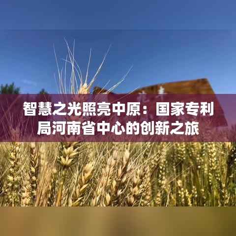 智慧之光照亮中原：国家专利局河南省中心的创新之旅