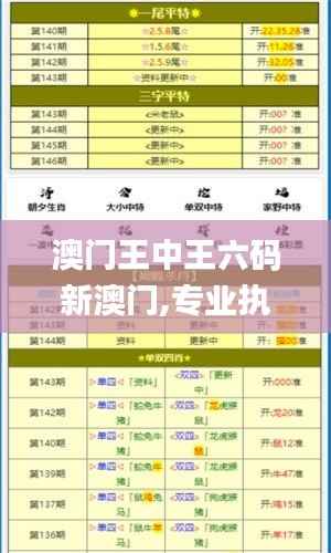 澳门王中王六码新澳门,专业执行解答_4K1.746
