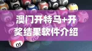 澳门开特马+开奖结果软件介绍,实地评估策略_3D6.322