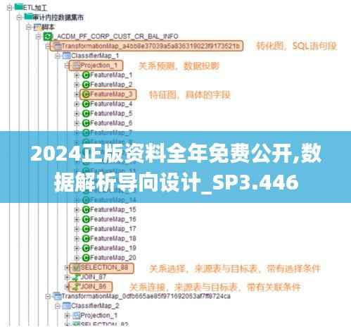 2024正版资料全年免费公开,数据解析导向设计_SP3.446