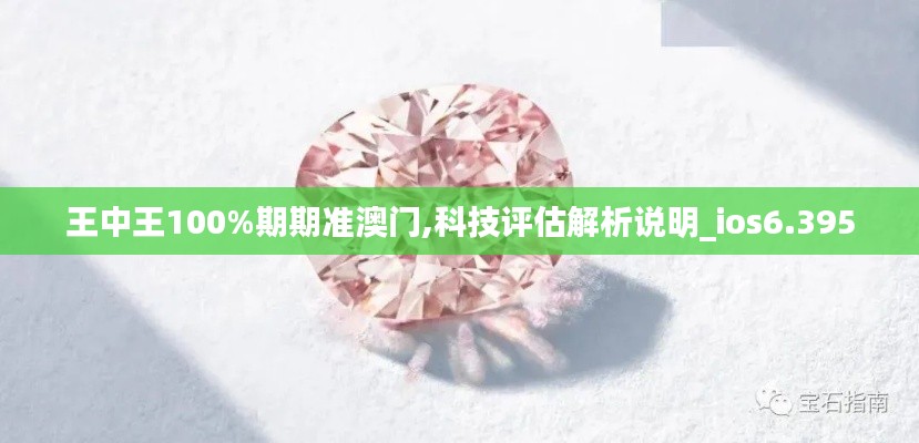 王中王100%期期准澳门,科技评估解析说明_ios6.395