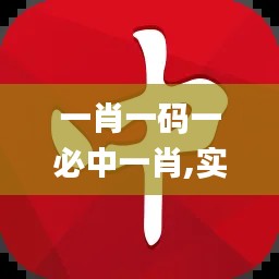 一肖一码一必中一肖,实践性执行计划_尊享版1.635