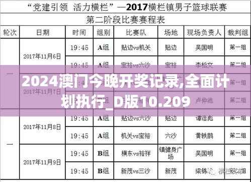 2024澳门今晚开奖记录,全面计划执行_D版10.209