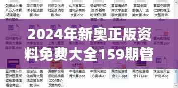 2024年新奥正版资料免费大全159期管家婆,实地分析数据执行_超值版11.997