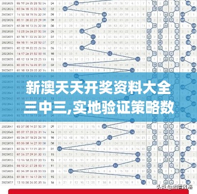 新澳天天开奖资料大全三中三,实地验证策略数据_VR版7.781