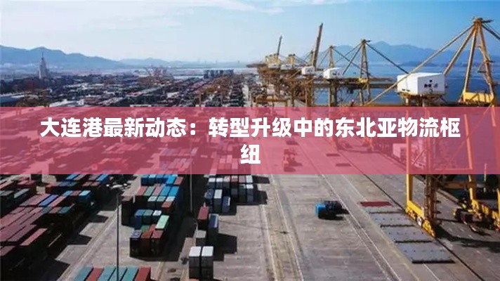 大连港最新动态：转型升级中的东北亚物流枢纽