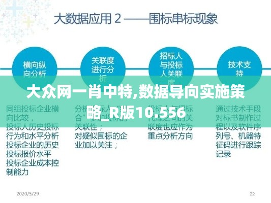 大众网一肖中特,数据导向实施策略_R版10.556