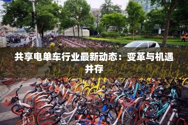 虫书鸟篆 第6页