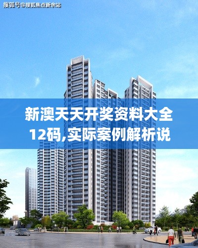 新澳天天开奖资料大全12码,实际案例解析说明_PalmOS16.952