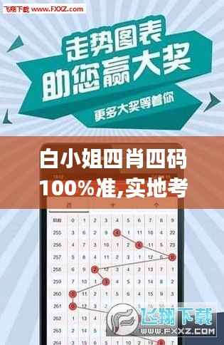 白小姐四肖四码100%准,实地考察数据设计_macOS4.915