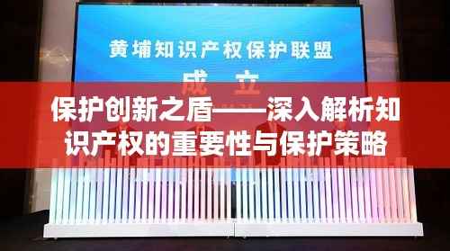 保护创新之盾——深入解析知识产权的重要性与保护策略