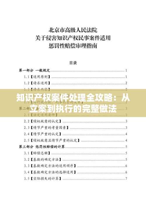 知识产权案件处理全攻略：从立案到执行的完整做法