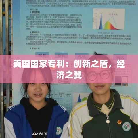 美国国家专利：创新之盾，经济之翼