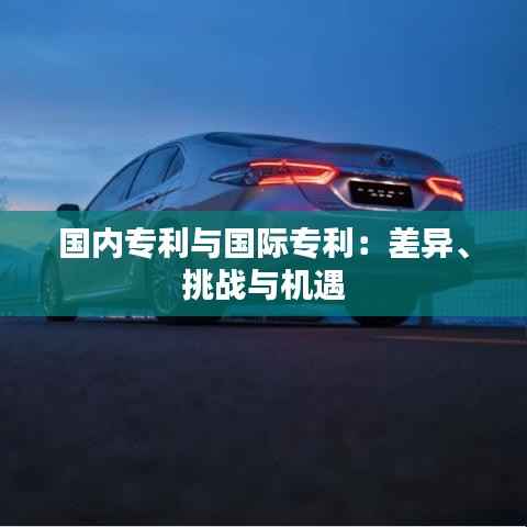 国内专利与国际专利：差异、挑战与机遇