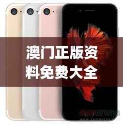 澳门正版资料免费大全新闻343期,数据解答落实_iPhone7.937