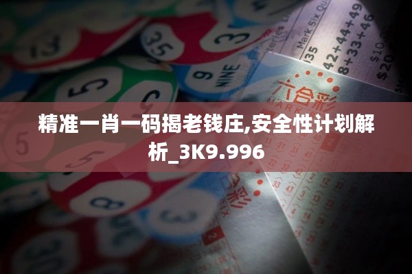 精准一肖一码揭老钱庄,安全性计划解析_3K9.996