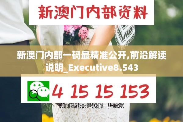 新澳门内部一码最精准公开,前沿解读说明_Executive8.543