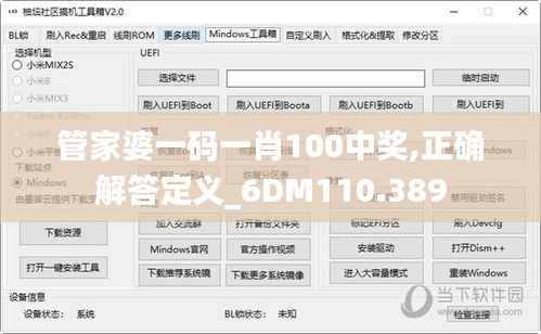 管家婆一码一肖100中奖,正确解答定义_6DM110.389
