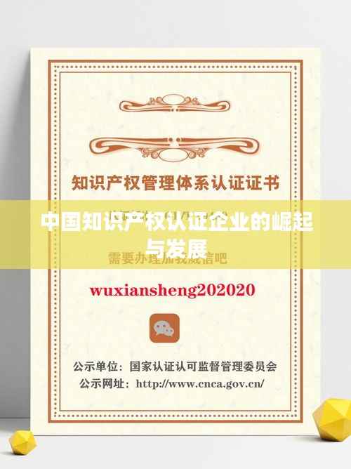 中国知识产权认证企业的崛起与发展
