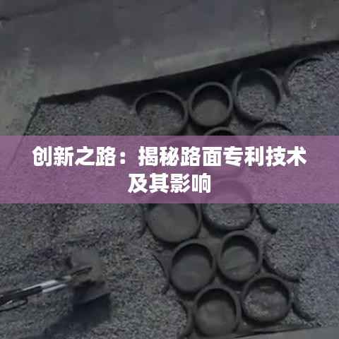 不翼而飞 第6页