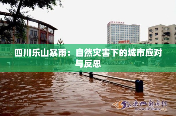 四川乐山暴雨：自然灾害下的城市应对与反思