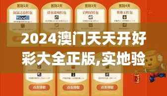 2024澳门天天开好彩大全正版,实地验证设计方案_网页版3.419