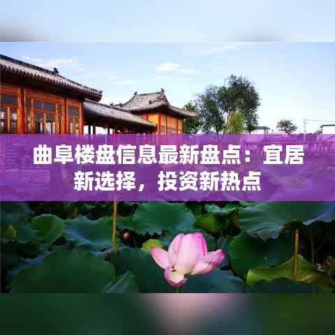 沉灶产蛙 第6页