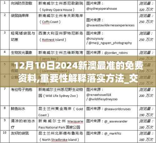 12月10日2024新澳最准的免费资料,重要性解释落实方法_交互版7.817