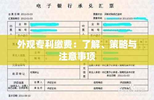 外观专利缴费：了解、策略与注意事项