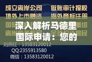 走马观花 第5页