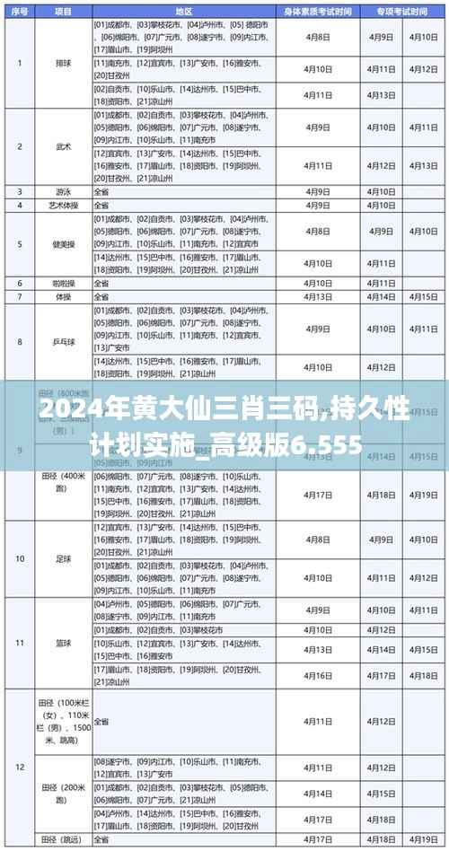 2024年黄大仙三肖三码,持久性计划实施_高级版6.555