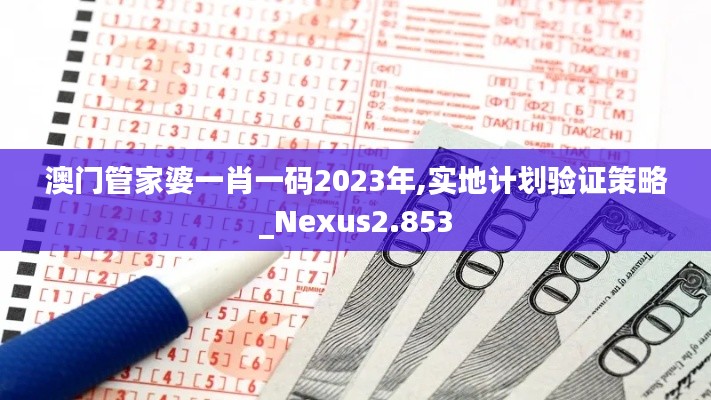 澳门管家婆一肖一码2023年,实地计划验证策略_Nexus2.853