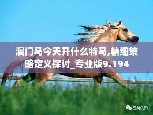 澳门马今天开什么特马,精细策略定义探讨_专业版9.194