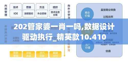 202管家婆一肖一吗,数据设计驱动执行_精英款10.410