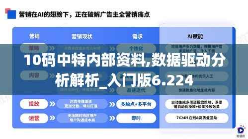 10码中特内部资料,数据驱动分析解析_入门版6.224