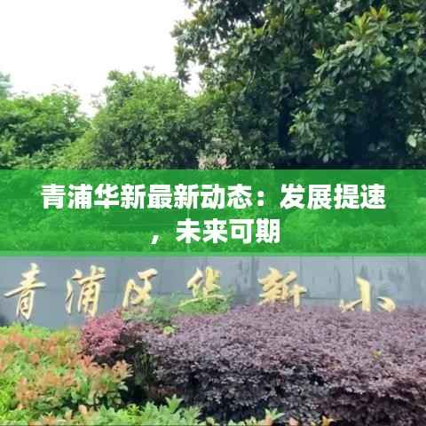 贵耳贱目 第5页