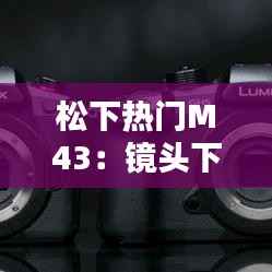 松下热门M43：镜头下的生活艺术