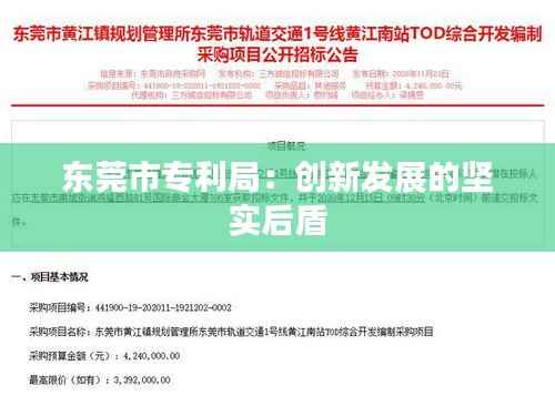 东莞市专利局：创新发展的坚实后盾